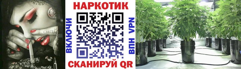 Магазин наркотиков Дмитриев АМФЕТАМИН  Меф мяу мяу  А ПВП 