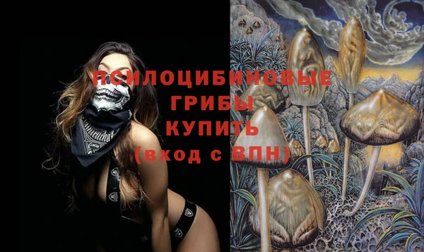 кокс Гусь-Хрустальный