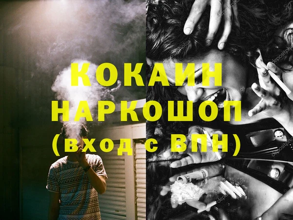 молекула духа Гусев